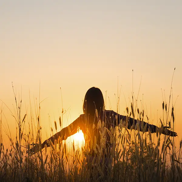 Sonnenaufgang über einem Getreidefeld